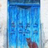Black Cat and Blue Door paint by numbers
