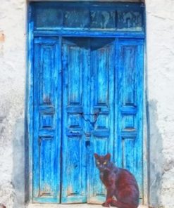 Black Cat and Blue Door paint by numbers
