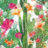 Cactus And Flowers Art paint by numbers