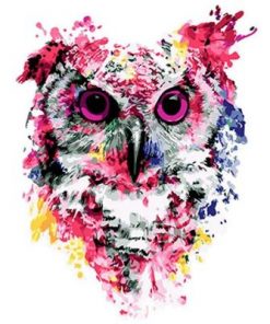 Colorful Owl Paint by numbers