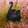 black swan paint by numbers