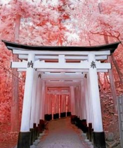 Fushimi Inari Taisha Paint by Numbers