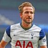 Harry Kane Tottenham Paint by numbers
