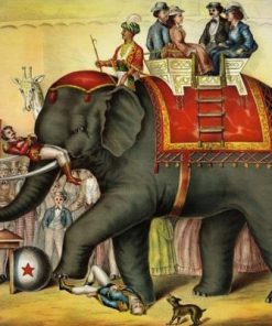 Indian Circus Elephant paint by numbers