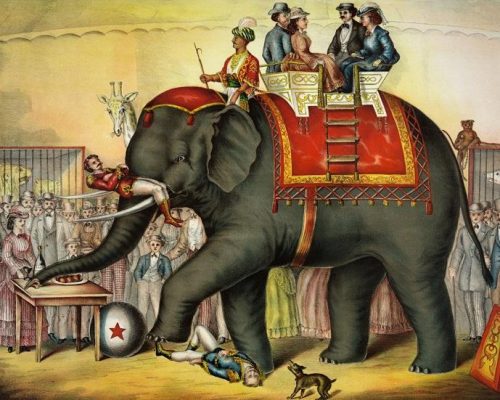 Indian Circus Elephant paint by numbers