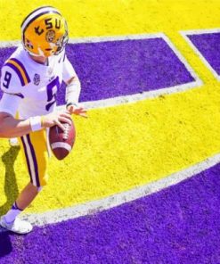 Lsu Tigers Paint by numbers