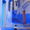 Moroccan Cat paint by numbers