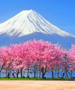 Mt Fuji Cherry Blossoms Paint by numbers