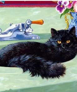 Black Cat In A Bath Paint by numbers