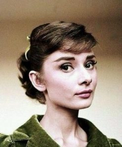 Audrey Hepburn Portrait Paint by numbers