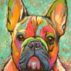 Abstract French Bulldog Paint by numbers