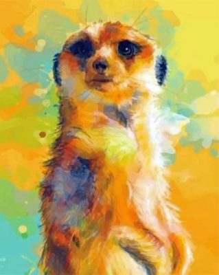 Abstract Meerkat Paint by numbers