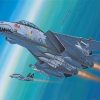 Aesthetic F14 Paint by numbers