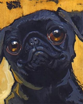 Aesthetic Black Pug Paint by numbers