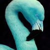 Blue Flamingo Bird paint by numbers