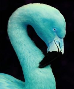 Blue Flamingo Bird paint by numbers