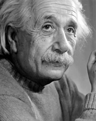 Albert Einstein paint by numbers