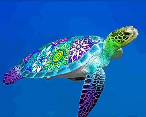 Artistic Sea Turtle Paint by numbers