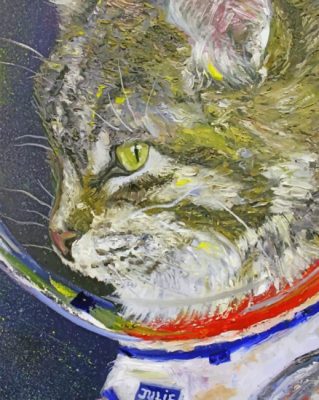 astronaut cat paint by number