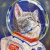 Astronaut Cat pain by numbers