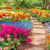 Beautiful Garden Paint by numbers