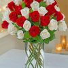 Beautiful Red And White Roses Paint by numbers
