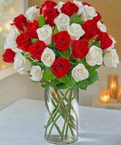Beautiful Red And White Roses Paint by numbers