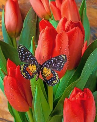 Black Butterfly And Tulips paint by numbers