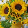 Black Eyed Susan And Sunflowers Paint by numbers