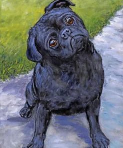 Black Pug Puppy Paint by numbers
