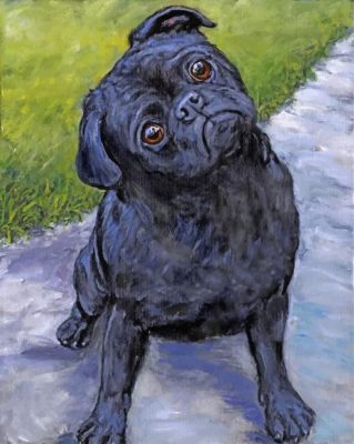 Black Pug Puppy Paint by numbers