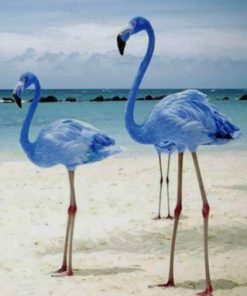 Blue Flamingos paint by numbers