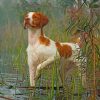 Brittany Spaniel Dog Pet Paint by numbers