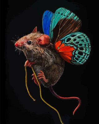 butterfly Mouse paint by numbers