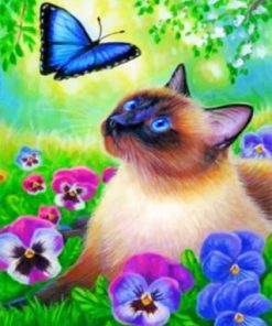 Cat And Blue Butterfly Paint by numbers