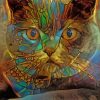 Abstract Cat Paint by numbers