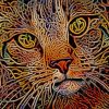 Celtic Knot Tabby Cat Paint by numbers