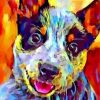 Colorful Blue Heeler Dog Paint by numbers