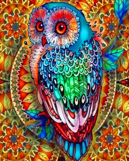 colorful-mandala-owl-paint-by-number
