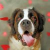 Cute Saint Bernard Paint by numbers