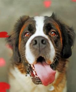 Cute Saint Bernard Paint by numbers