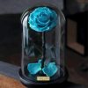 Cyan Glass Rose paint by numbers