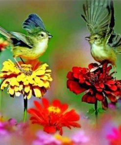 Flowers And Birds Paint by numbers
