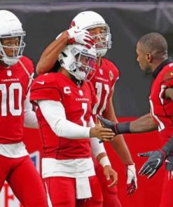 Arizona Cardinals Team Paint by numbers