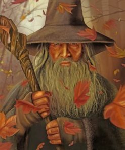 Gandalf Illustration Paint by numbers