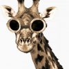 Giraffe With Sunglasses Paint by numbers