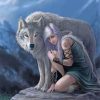 Girl And Grey Wolf Paint by numbers