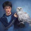 Harry Potter And Companion Hedwig Paint by numbers