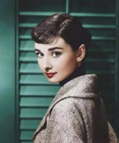 Sweet Audrey Hepburn Paint by numbers