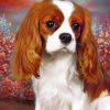 King Charles Spaniel Portrait Paint by numbers
